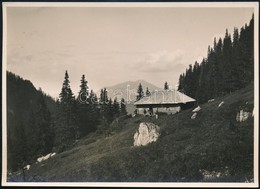 Cca 1910 Brassó Vidéki Hegyek, Malajesti-menedékház, Erdélyi Mór Felvétele, Hátulján Feliratozva, 11,5×16 Cm /
Cca 1910  - Sonstige & Ohne Zuordnung