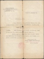 Cca 1944 Svájci Követségi Menlevél Román állampolgár Részére / Schutzpass Issued By The Swiss Consulate In Hungary To Ro - Otros & Sin Clasificación