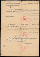 1945 Az Osztrák Vöröskereszt Utazási Igazolványa Volt Mauthauseni Fogoly Részére /
1945 Certificate Of Travel Issued By  - Altri & Non Classificati