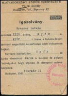 1945 A Magyarországi Zsidók Szervezete Vidéki Osztályának Igazolványa Deportációból Megszökött és Budapesten Bujkált Zsi - Otros & Sin Clasificación