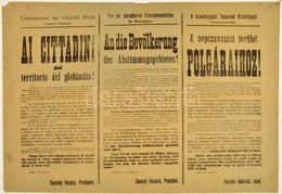 1921 A Népszavazási Terület átadása. ... Ferrario Tábornok, A Szövetségközi Tábornoki Bizottság Elnök által Kiadott Háro - Autres & Non Classés