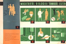 Cca 1950 Magatartás Biológiai Támadás Esetén, Propaganda Plakát. Bp., Belügyminisztérium Polgári Védelem Országos Paranc - Andere & Zonder Classificatie