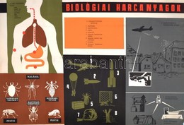 Cca 1950 Biológiai Harcanyagok, Propaganda Plakát. Bp., Belügyminisztérium Polgári Védelem Országos Parancsnoksága Kikép - Altri & Non Classificati