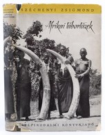Széchényi Zsigmond: Afrikai Tábortüzek.Vadásznapló Kivonatok 1932-1934. Dedikált, Gosztonyi Géza (1908-1988) Fővadásznak - Unclassified