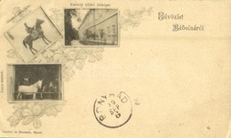 T2/T3 1899 Bábolna, Kastély Külső Része, Anya Ménes, Gazlán Csikós Ló. Czettel és Deutsch, Art Nouveau  (EK) - Non Classés