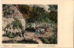 ** T1 Badacsony (Balaton Vidéke), Szőlőpásztor Kunyhója - Ohne Zuordnung