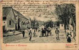 T3 1901 Budakeszi, Erdő Utca, Lovaskocsi. Hatschek Emil Kiadása / Waldgasse (szakadés / Tear) - Non Classés