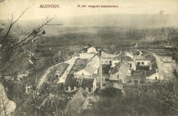 T2 1913 Algyógy, Geoagiu; M. Kir. Vasgyári Szanatórium. Adler Fényirda / Sanatorium Of The Iron Works - Sin Clasificación