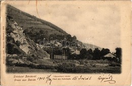 T2/T3 1903 Báziás, Vasútállomás Vonattal. Hermann Seibt Kiadása / Bahnhof / Railway Station With Train (EK) - Sin Clasificación