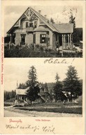 T2 1903 Borszék, Borsec; Villa Bellevue. Heiter György Fényképész Kiadása - Ohne Zuordnung