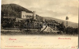 T2 1900 Csucsa, Ciucea; Boncza Kastély. Dunky Fivérek Kiadása / Castle - Ohne Zuordnung