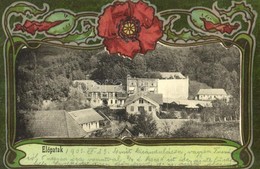 T2 1903 Előpatak, Valcele; Bogdán Villa. Szecessziós Litho Keret / Villa. Art Nouveau, Litho - Ohne Zuordnung