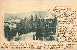 T2/T3 1899 Előpatak, Valcele; Otroban Villa és Lobogó Fürdő / Spa And Villa (EK) - Ohne Zuordnung