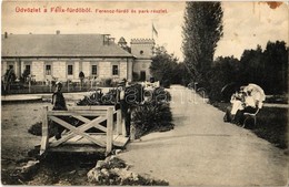 T2 1908 Félixfürdő, Baile Felix; Ferenc-fürdő és Park / Spa Nad Park, Wooden Bridge - Non Classés