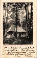 T3/T4 1906 Felsőbánya, Baia Sprie; Siegmeth Károly Menedékház A Fekete-hegyen. Túry József Amatőr Felvétele és Szabó Kár - Sin Clasificación