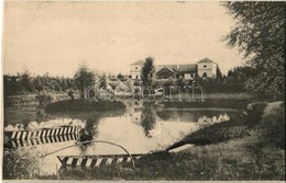 * T2/T3 Maroskeresztúr, Cristesti; Z. Knöpfler Elek Nyaralója, Kastély / Villa, Castle (képeslapfüzetből / From Postcard - Zonder Classificatie