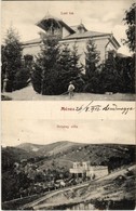 T3 1912 Ménes, Minis; Lori Lak, Ortutay Villa / Villas (ragasztónyom / Gluemark) - Non Classés