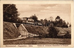 ** T1 Nagyszeben, Hermannstadt, Sibiu; Villamos Viadukt Az Erlen Parkban. Jos. Drotleff és Emil Fischer Kiadása / Viadku - Zonder Classificatie