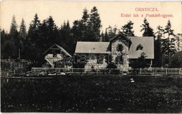T2 1915 Oravica, Oravita; Erdei Lak A Puskáshegyen / Forest House On Puscasu Mare + 'Katonai Ellenőrző Bizottság Versecz - Ohne Zuordnung