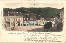 T2 1901 Segesvár, Schassburg, Sighisoara; Utca, üzletek. Fritz Teutsch Kiadása / Street, Shops - Non Classés