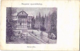 ** T3/T4 Szamosfő, Maguri; Magurai Nyaralótelep, Merza Villa / Holiday Resort, Villa (fa) - Non Classés