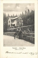 T2/T3 1915 Szebenjuharos, Hohe Rinne, Paltinis; Tannhof / Villa - Non Classés