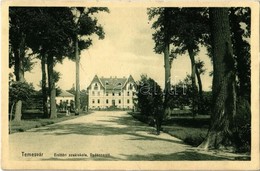 T2 1910 Temesvár, Timisoara; Erdőőri Szakiskola, Vadászerdő (Újszentes) /  Dumbravita, Forest Guard School - Ohne Zuordnung