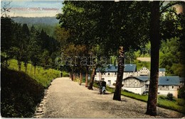 T2 1913 Feketehegy-fürdő, Cernohorské Kúpele (Merény, Nálepkovo); Felső Sétány / Promenade - Ohne Zuordnung