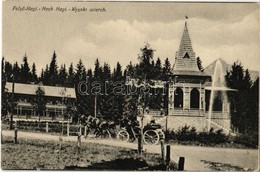 ** T1 Felsőhági, Visne Hagy, Vysné Hágy (Tátra, Tatry); Vendéglő, Lovaskocsi / Restaurant, Horse Cart - Non Classés