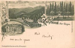 T1/T2 1899 Koritnyica, Korytnica; Zsófia Forrás, Új Gyógyház Hygiea / Spring, Spa. Schwidernoch Károly Art Nouveau, Flor - Ohne Zuordnung