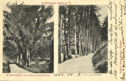 T2/T3 1902 Lubló-fürdő, Kúpele Lubovna; Erdőrészleti Sétányok. Szeiffert Endre Kiadása / Forest Promenades - Non Classés