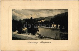 T2 1910 Selmecbánya, Schemnitz, Banská Stiavnica; Rossgrundi Tó. Joerges / Lake - Non Classés