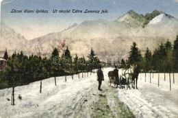 ** T2/T3 Tátra, Út Tátralomnic Felé Télen, Lovasszán. Lőcsei állami építész / Road To Tatranska Lomnica In Winter, Horse - Non Classés