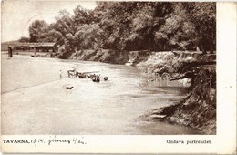 T2 1914 Tavarna, Tovarné (Varannó);  Ondava Part Részlete, Gulya Itatása, Híd / Ondava Riverside, Drinking Cattle, Bridg - Non Classés