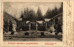 T2 1905 Hársfalva-gyógyfürdő (Szolyva), Nelipino, Nelipyno; Stefánia Gyógyforrás és Fedett Sétatér / Spring And Colonnad - Unclassified