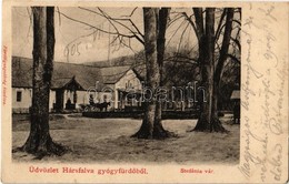 T2 1905 Hársfalva-gyógyfürdő (Szolyva), Nelipino, Nelipyno; Stefánia Vár, Lovashintó / Castle, Horse Chariot - Unclassified