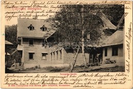 T2/T3 1905 Kékesfüred, Sinjak, Synyak, Synjak (Bereg); Szinyáki Fürdő. Bertsik Emil Tulajdona / Spa House (EK) - Unclassified