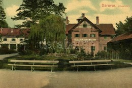 T2 1909 Daruvár, Kup Daruvar; Anina Blatna Kupka, Livia-Heim /  Mud Bath, Spa, Villa - Non Classificati