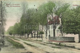 * T2/T3 1907 Apatin, Fő Utca, Szűz Mária és Jézus Szobor. Gasz Mátyás Kiadása / Main Street With Virgin Mary And Jesus S - Non Classificati