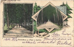 T2 1902 Törökbecse, Újbecse, Novi Becej; Fasor A Ligetben. Jovánovits Giga Kiadása / Forest Promenade. Art Nouveau - Non Classés