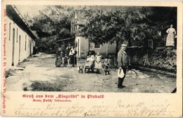 T2 1901 Pinkafő, Pinkafeld; Franz Posch étterme / Gruss Aus Dem 'Eisgrübl', Franz Posch' Restauration / Restaurant - Non Classés