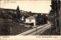 T2/T3 1911 Savanyúkút, Sauerbrunn; Vasútállomás / Bahnhof / Railway Station (EK) - Ohne Zuordnung