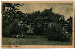 T2 1921 Savanyúkút, Sauerbrunn; Gyógypark / Kurpark / Spa Park - Zonder Classificatie