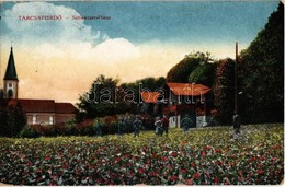 T2/T3 1918 Tarcsa, Tatzmannsdorf; Schweizer-Haus / Villa - Ohne Zuordnung