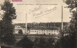 T2 Saillat (Haute-Vienne), Fabrique De Pate Cellulosique / Cellulose Paste Factory - Non Classés