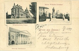 T2/T3 1899 Dessau, Kaiser Wilhelm Denkmal, Herzogl. Hoftheater, Erbprinzliches Palais / Monument, Theatre, Palace. Flora - Unclassified