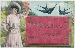 T2/T3 Dresden. Gruss Aus... Leporellocard With, Book, Lady And Swallows (EK) - Unclassified