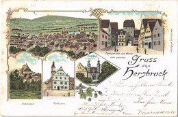 T2 1898 Hersbruck, Schloss, Rathhaus, Hohenstein, Thorparthie Vom Markt Aus Gesehen / Castle, Town Hall, Gate. Art Nouve - Ohne Zuordnung