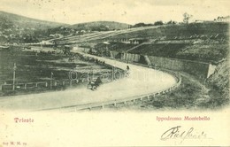 T2 1901 Trieste, Ippodromo Montebello / Horse Racecourse - Non Classés