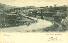 T2 1901 Trieste, Ippodromo Montebello / Horse Racecourse - Non Classificati